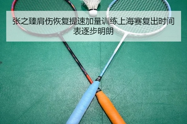 张之臻肩伤恢复提速加量训练上海赛复出时间表逐步明朗
